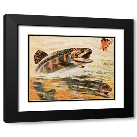 Trout and Fly Black Modern Wood Framed Art Print with Double Matting by Unknown