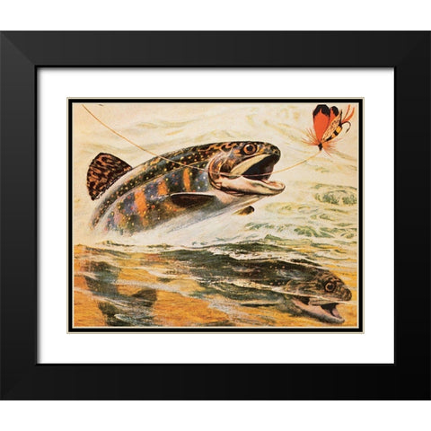 Trout and Fly Black Modern Wood Framed Art Print with Double Matting by Unknown