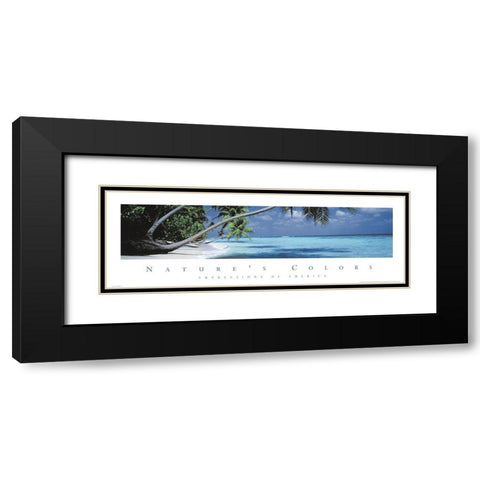 Natures Colors Palm Trees Black Modern Wood Framed Art Print with Double Matting by Unknown