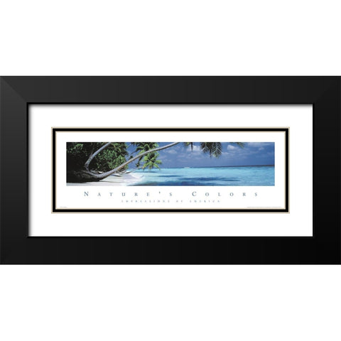 Natures Colors Palm Trees Black Modern Wood Framed Art Print with Double Matting by Unknown