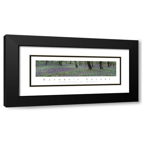 Natures Colors Purple Flowers Black Modern Wood Framed Art Print with Double Matting by Unknown