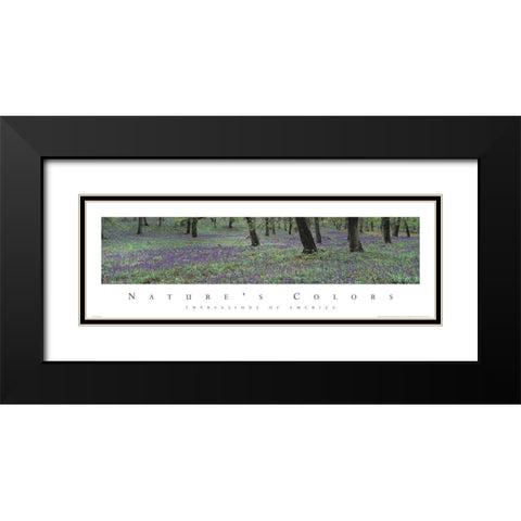 Natures Colors Purple Flowers Black Modern Wood Framed Art Print with Double Matting by Unknown