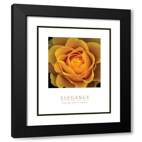 Elegance - Peach Rose Black Modern Wood Framed Art Print with Double Matting by Unknown