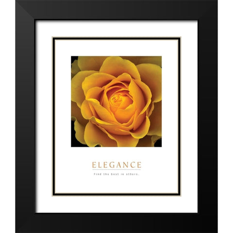 Elegance - Peach Rose Black Modern Wood Framed Art Print with Double Matting by Unknown