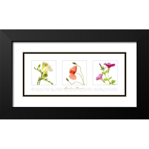 Garden Flowers II Black Modern Wood Framed Art Print with Double Matting by Frontline