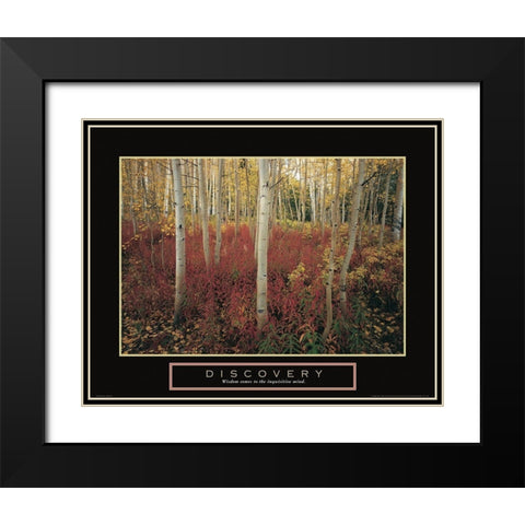 Discovery - Aspen Trees Black Modern Wood Framed Art Print with Double Matting by Frontline