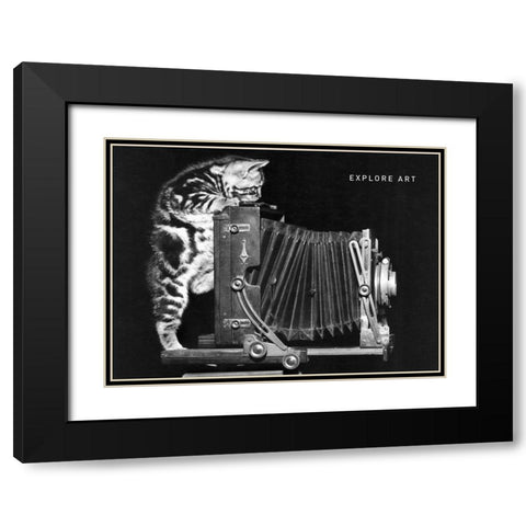 Cat and Camera Black Modern Wood Framed Art Print with Double Matting by Frontline