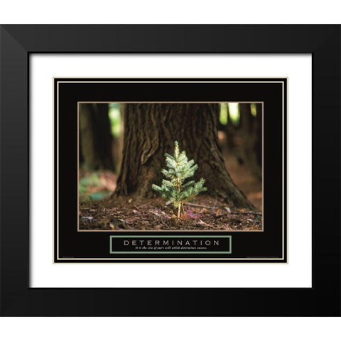 Determination - Little Pine Black Modern Wood Framed Art Print with Double Matting by Frontline