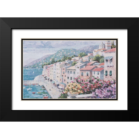 Pink Houses II Black Modern Wood Framed Art Print with Double Matting by Unknown