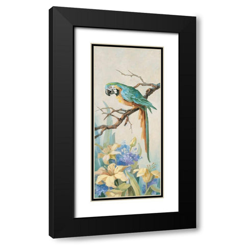Parrot Looking Down Black Modern Wood Framed Art Print with Double Matting by Unknown