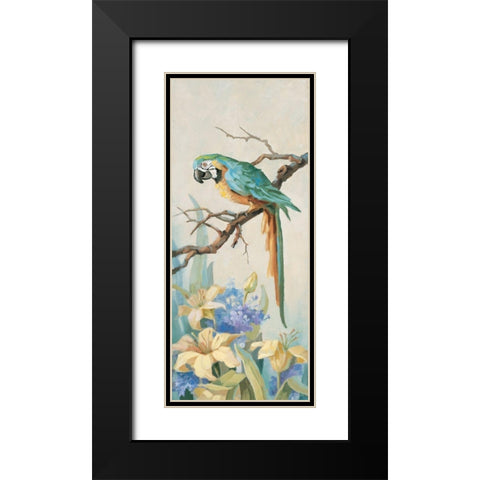 Parrot Looking Down Black Modern Wood Framed Art Print with Double Matting by Unknown