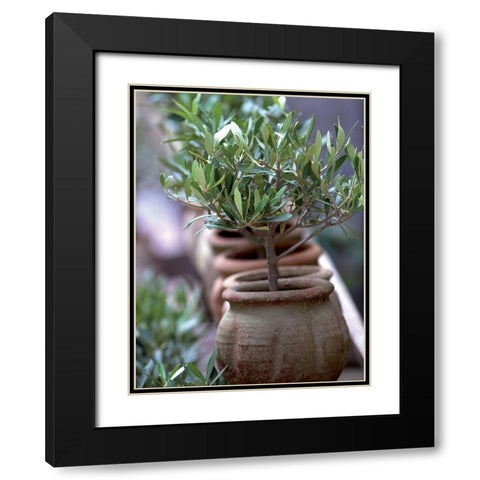 Petit olivier Black Modern Wood Framed Art Print with Double Matting by Palut, Jacques