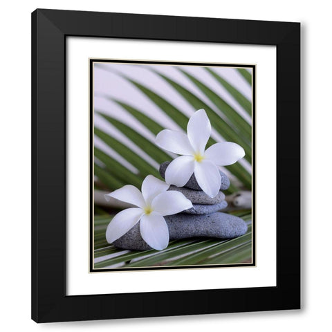 Zen et galets I Black Modern Wood Framed Art Print with Double Matting by Chatelain, Sonia