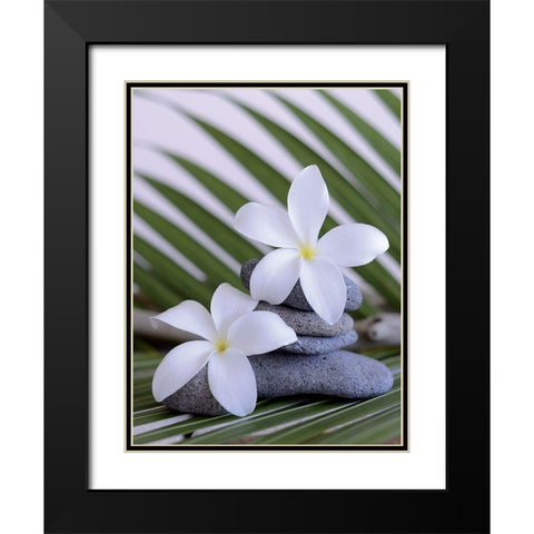 Zen et galets I Black Modern Wood Framed Art Print with Double Matting by Chatelain, Sonia