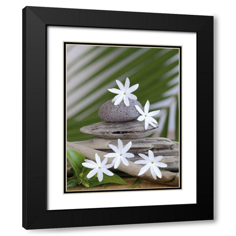 Zen et galets II Black Modern Wood Framed Art Print with Double Matting by Chatelain, Sonia