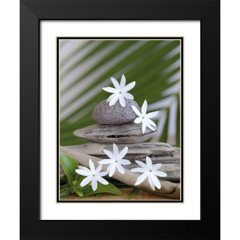 Zen et galets II Black Modern Wood Framed Art Print with Double Matting by Chatelain, Sonia