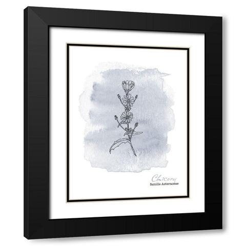 Planche botanique 1 Black Modern Wood Framed Art Print with Double Matting by Braun Studio