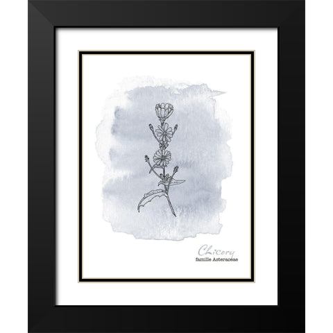 Planche botanique 1 Black Modern Wood Framed Art Print with Double Matting by Braun Studio