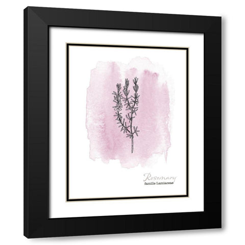 Planche botanique 2 Black Modern Wood Framed Art Print with Double Matting by Braun Studio