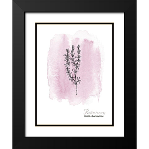 Planche botanique 2 Black Modern Wood Framed Art Print with Double Matting by Braun Studio