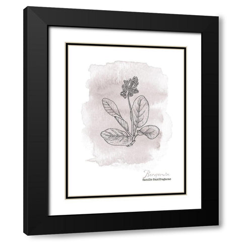 Planche botanique 3 Black Modern Wood Framed Art Print with Double Matting by Braun Studio