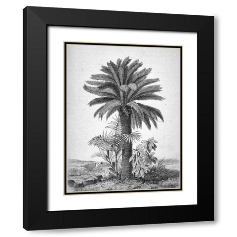 Palmier Black Modern Wood Framed Art Print with Double Matting by BRAUN Studio