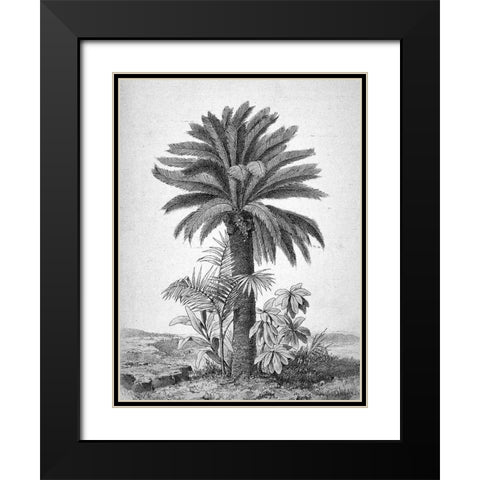 Palmier Black Modern Wood Framed Art Print with Double Matting by BRAUN Studio