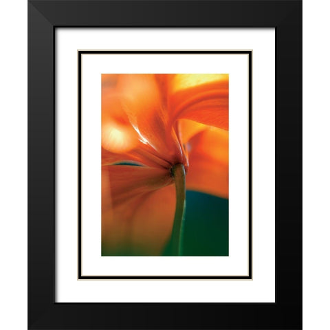 Hemerocaille Black Modern Wood Framed Art Print with Double Matting by Ayrault, Marc