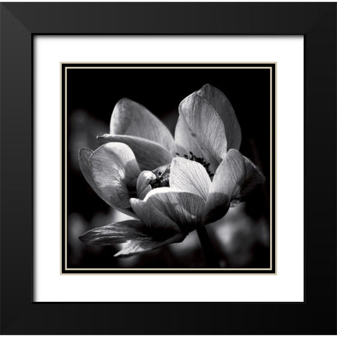 Spring dream Black Modern Wood Framed Art Print with Double Matting by Mercier, Bruno