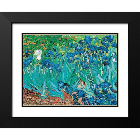 Iris Black Modern Wood Framed Art Print with Double Matting by van Gogh, Vincent