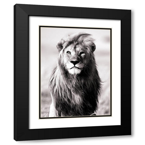 Majesty Black Modern Wood Framed Art Print with Double Matting by Blonde Attitude