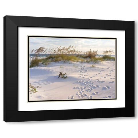 Plage 11 Black Modern Wood Framed Art Print with Double Matting by Braun Studio