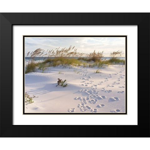 Plage 11 Black Modern Wood Framed Art Print with Double Matting by Braun Studio