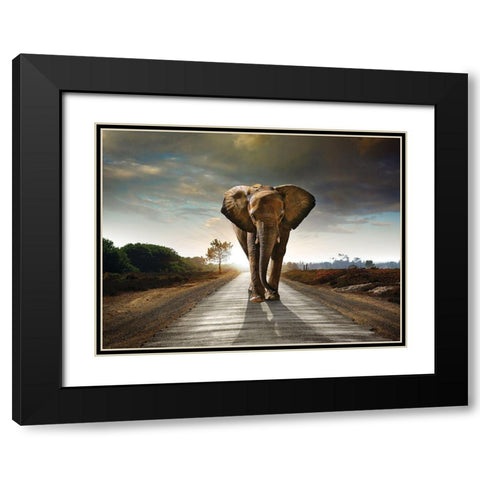 Majestic Black Modern Wood Framed Art Print with Double Matting by Braun Studio