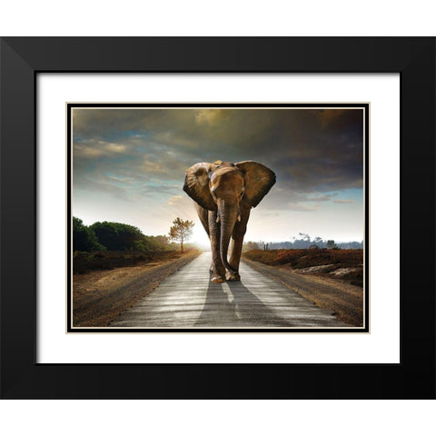 Majestic Black Modern Wood Framed Art Print with Double Matting by Braun Studio