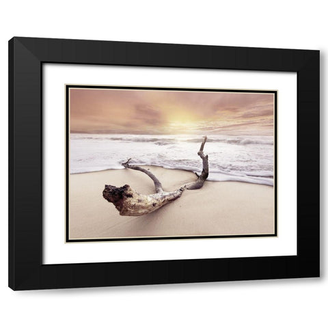 Driftwood on beach Black Modern Wood Framed Art Print with Double Matting by Braun Studio