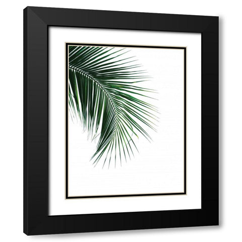 Green Palm Tree I Black Modern Wood Framed Art Print with Double Matting by Braun Studio