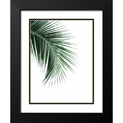 Green Palm Tree I Black Modern Wood Framed Art Print with Double Matting by Braun Studio
