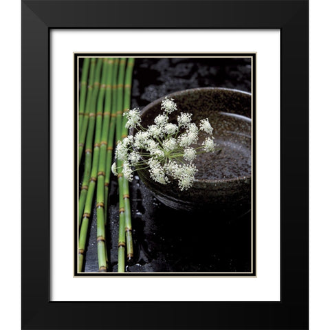 Printemps de bambous Black Modern Wood Framed Art Print with Double Matting by Photographie Collection