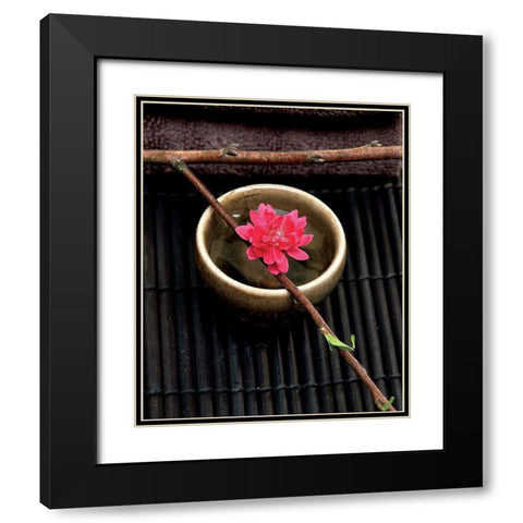Spa concept Black Modern Wood Framed Art Print with Double Matting by Photographie Collection