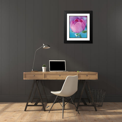 Rose en beaute Black Modern Wood Framed Art Print with Double Matting by Friis-Larsen, Liv