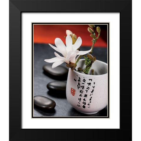 Composition Zen - Magnolia Stellata 2 Black Modern Wood Framed Art Print with Double Matting by Beyler, Catherine