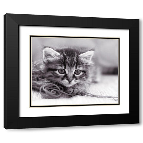 Tu viens jouer ? Black Modern Wood Framed Art Print with Double Matting by Braun Studio