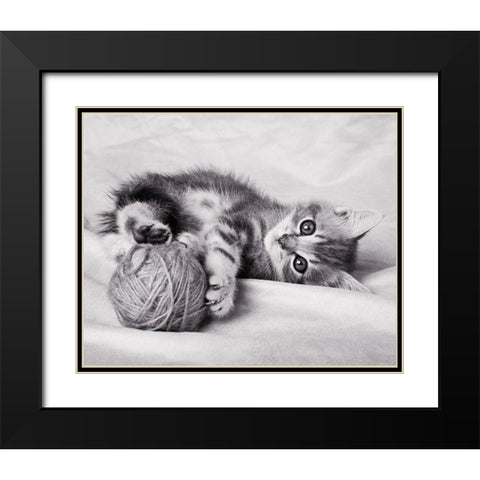La pelote Black Modern Wood Framed Art Print with Double Matting by Braun Studio
