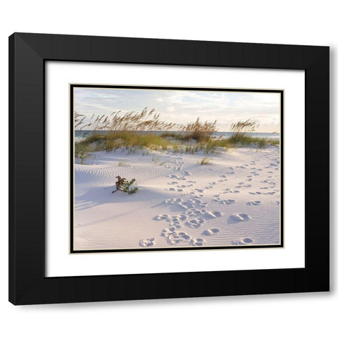 Plage 11 Black Modern Wood Framed Art Print with Double Matting by Braun Studio