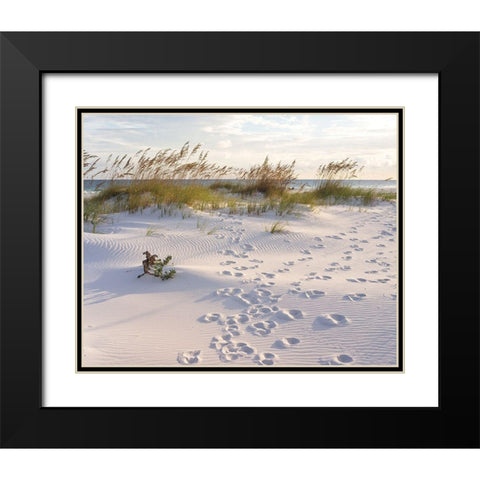 Plage 11 Black Modern Wood Framed Art Print with Double Matting by Braun Studio