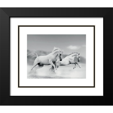 Galops blancs Black Modern Wood Framed Art Print with Double Matting by Braun Studio