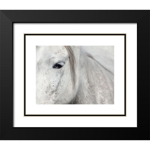 Crin Blanc 1 Black Modern Wood Framed Art Print with Double Matting by Braun Studio