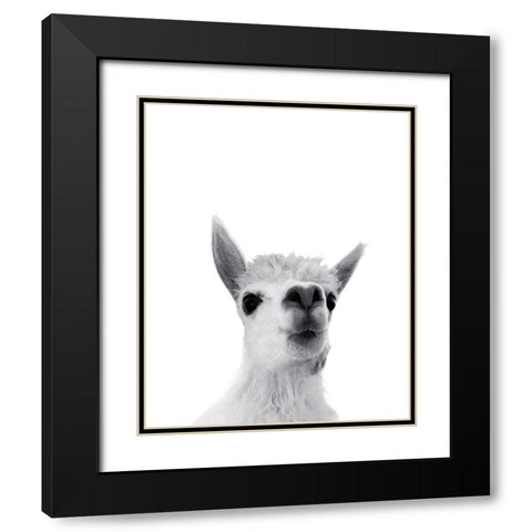 Lama Rigolo Black Modern Wood Framed Art Print with Double Matting by Braun Studio