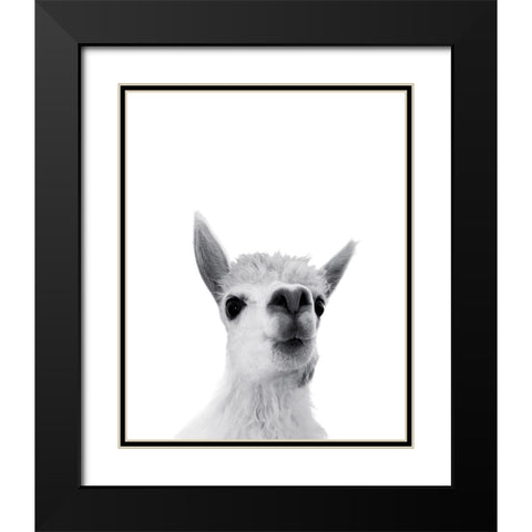 Lama Rigolo Black Modern Wood Framed Art Print with Double Matting by Braun Studio